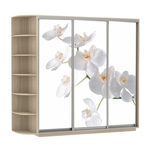 Шкаф Экспресс со стеллажом, 2100х600х2200, Орхидея белая/шимо светлый в Пензе