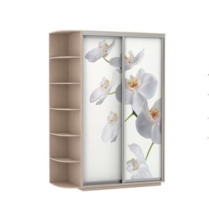 Шкаф 2-дверный Экспресс 1700x600x2200, со стеллажом, Орхидея белая/дуб молочный в Пензе
