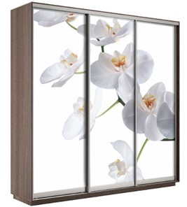 Шкаф 3-дверный Экспресс 1800х600х2400, Орхидея белая/шимо темный в Пензе