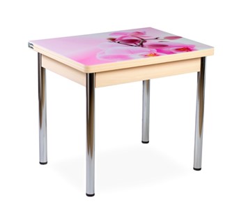 Кухонный пристенный стол СПА-01 СТФ, молочный дуб/фотопечать орхидея/опоры прямые хром в Пензе