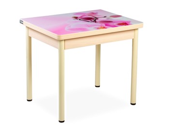 Кухонный пристенный стол СПА-02 СТФ, молочный дуб/фотопечать орхидея/опоры бежевый в Пензе