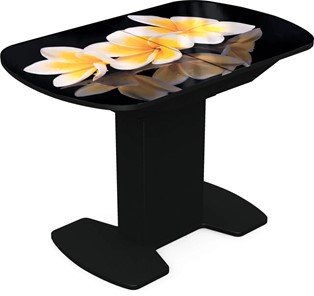 Кухонный раскладной стол Корсика исп. 1 Фотопечать (Цветы №11) 1100(1415)*700 в Пензе