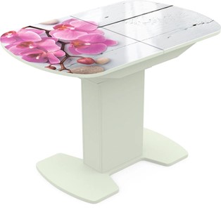 Кухонный раскладной стол Корсика исп. 2 Фотопечать (Цветы №24) 1200(1515)*800 в Пензе
