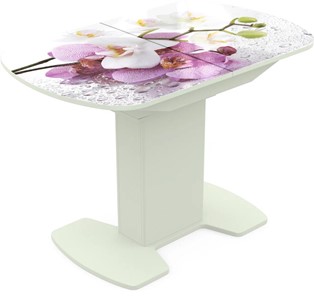Кухонный раскладной стол Корсика исп. 2 Фотопечать (Цветы №44) 1200(1515)*800 в Пензе