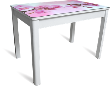 Кухонный раскладной стол Айсберг мини СТФ, белое лдсп/орхидея/40 прямые массив белые в Пензе