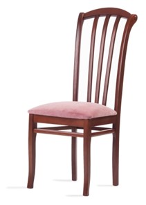 Обеденный стул Веер-Ж (нестандартная покраска) в Пензе