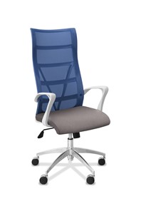 Офисное кресло для руководителя Топ X белый каркас, сетка/ткань TW / синяя/серая в Пензе