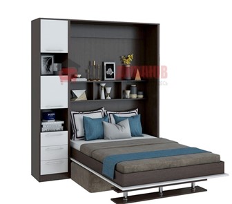 Кровать-шкаф с диваном DetalMaster Бела 1, с полкой ножкой с 1 пеналом, 1600х2000, венге/белый в Пензе