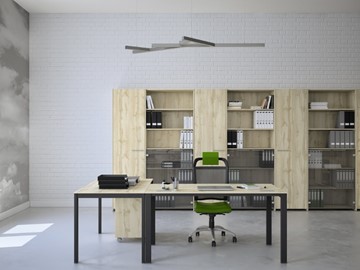 Офисный набор мебели Экспро Саньяна в Пензе