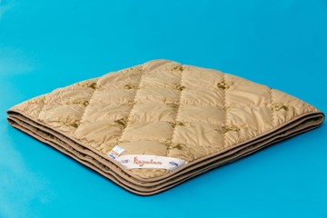 Одеяло всесезонное полутороспальное Караван в Пензе