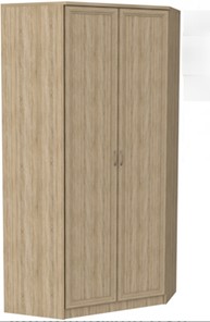 Шкаф распашной 403 несимметричный, цвет Дуб Сонома в Пензе