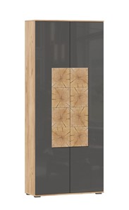Шкаф двухстворчатый Фиджи с декоративными накладками 659.310, Дуб Золотой/Антрацит в Пензе
