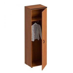 Шкаф для одежды Дин-Р, французский орех (60х46,5х196,5) ДР 772 в Пензе