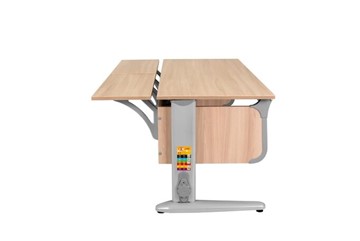 Детский стол-трансформер 6/120 (СУТ.49) + Polka_z 6/600 (2 шт) Ясень/серый/серый в Пензе