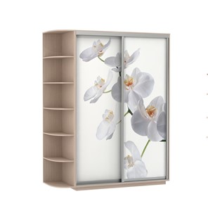 Шкаф двухдверный Экспресс 1900x600x2200, со стеллажом, Орхидея белая/дуб молочный в Пензе