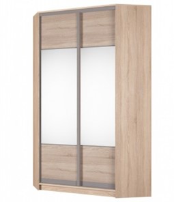Шкаф угловой Аларти (YA-230х1250(602) (2) Вар. 5; двери D3+D3), с зеркалом в Пензе