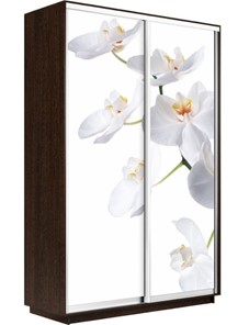 Шкаф 2-х дверный Экспресс 1400x600x2400, Орхидея белая/венге в Пензе
