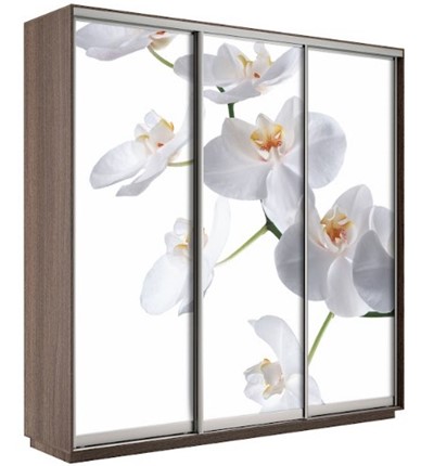 Шкаф 3-х створчатый Экспресс 1800х600х2200, Орхидея бела/шимо темный в Пензе - изображение