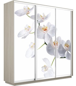 Шкаф 3-створчатый Экспресс 2400х600х2200, Орхидея белая/шимо светлый в Пензе - предосмотр