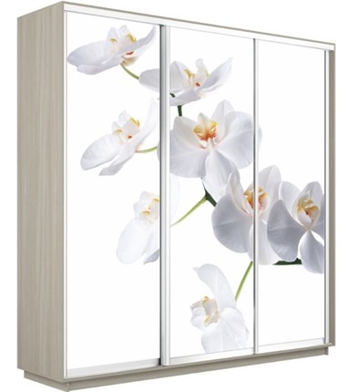 Шкаф 3-створчатый Экспресс 2400х600х2200, Орхидея белая/шимо светлый в Пензе - изображение