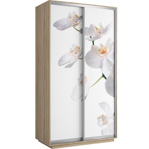 Шкаф 2-створчатый Хит 1200x600x2200, белая орхидея, ясень шимо светлый в Пензе