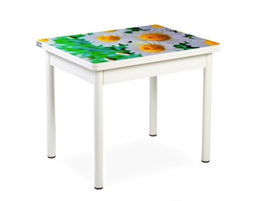Кухонный пристенный стол СПА-01 СТФ, белый/фотопечать ромашки/опоры прямые белые в Пензе