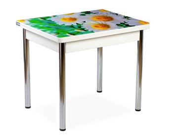 Кухонный пристенный стол СПА-02 СТФ, белый/фотопечать ромашки/опоры хром в Пензе