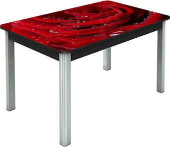 Кухонный стол раскладной Гамбург исп. Мини, ноги метал. крашеные №23, Фотопечать (Цветы №39) в Пензе