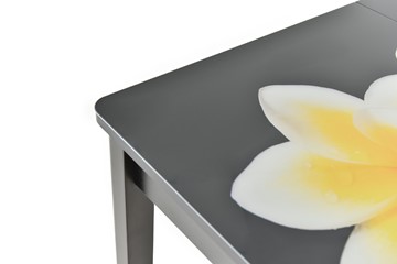 Кухонный раздвижной стол Гамбург исп.1 ноги метал. крашеные №23, Фотопечать (Текстура №34) в Пензе - предосмотр 8