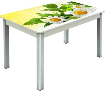 Кухонный раздвижной стол Гамбург исп.2 ноги метал. крашеные №23, Фотопечать (Цветы №3) в Пензе