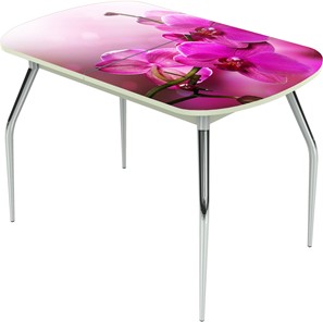 Кухонный раздвижной стол Ривьера исп.1 ноги метал. крашеные №24 Фотопечать (Цветы №16) в Пензе