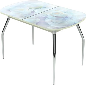 Кухонный стол раздвижной Ривьера исп.1 ноги метал. крашеные №24 Фотопечать (Цветы №36) в Пензе