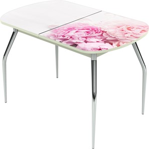 Кухонный стол раскладной Ривьера исп.1 ноги метал. крашеные №24 Фотопечать (Цветы №49) в Пензе