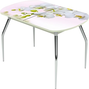Раздвижной стол Ривьера исп.1 ноги метал. крашеные №24 Фотопечать (Цветы №7) в Пензе