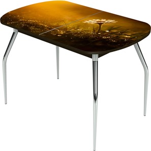 Раздвижной стол Ривьера исп.2 ноги метал. крашеные №24 Фотопечать (Цветы №43) в Пензе