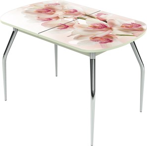 Кухонный раскладной стол Ривьера исп.2 ноги метал. крашеные №24 Фотопечать (Цветы №8) в Пензе