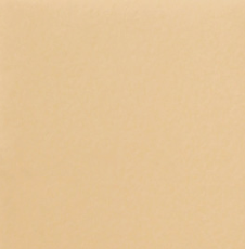 Стул Роджер Эконом С102-2(стандартная покраска) в Пензе - изображение 9