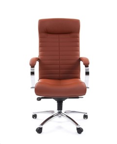 Компьютерное кресло CHAIRMAN 480 Экокожа Terra 111 (коричневая) в Пензе - предосмотр 1
