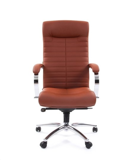 Компьютерное кресло CHAIRMAN 480 Экокожа Terra 111 (коричневая) в Пензе - изображение 1