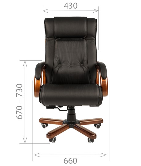 Офисное кресло CHAIRMAN 653 кожа черная в Пензе - изображение 1
