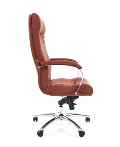 Компьютерное кресло CHAIRMAN 480 Экокожа Terra 111 (коричневая) в Пензе - предосмотр 2