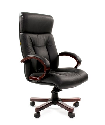 Компьютерное кресло CHAIRMAN 421 в Пензе - изображение
