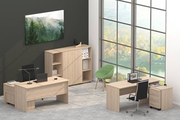 Офисный набор мебели Twin в Пензе - предосмотр 4