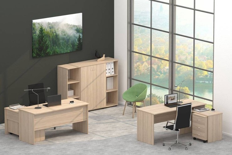 Офисный набор мебели Twin в Пензе - изображение 4