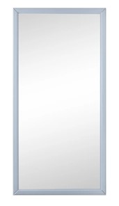 Настенное зеркало Ника (Серый) 119,5 см x 60 см в Пензе
