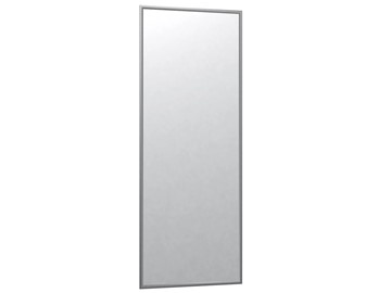 Зеркало навесное в гардероб Сельетта-6 матовое серебро (1100х400х9) в Пензе - предосмотр