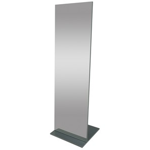 Зеркало напольное в гардероб Стелла (графит темный) 163,5 см x 50 см в Пензе