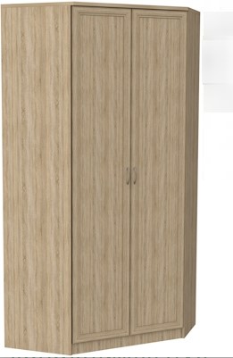Шкаф распашной 403 несимметричный, цвет Дуб Сонома в Пензе - изображение