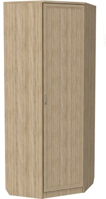 Шкаф распашной 400 угловой, цвет Дуб Сонома в Пензе - изображение