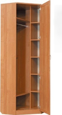 Шкаф распашной 402 угловой со штангой, цвет Дуб Сонома в Пензе - изображение 1